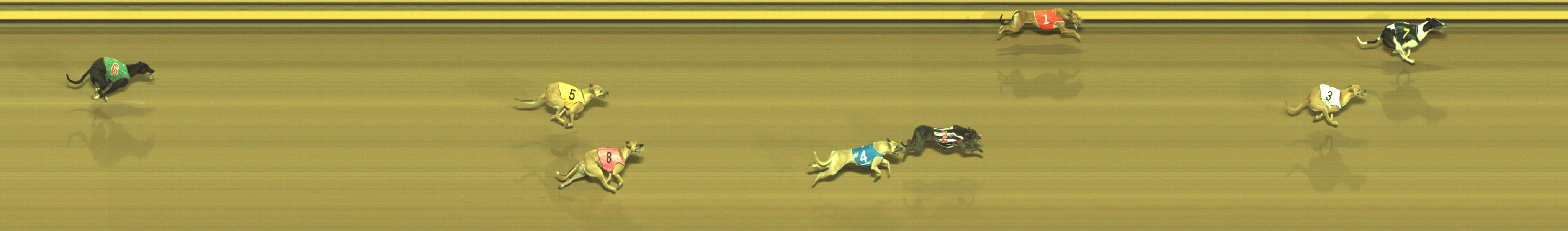 Photo finish for Geelong Race 1