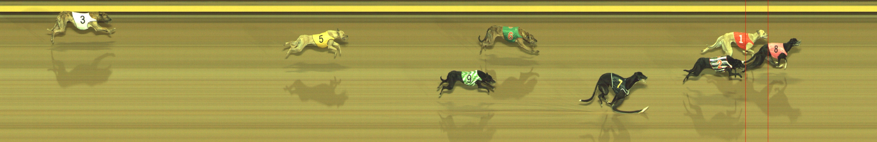 Photo finish for Geelong Race 2