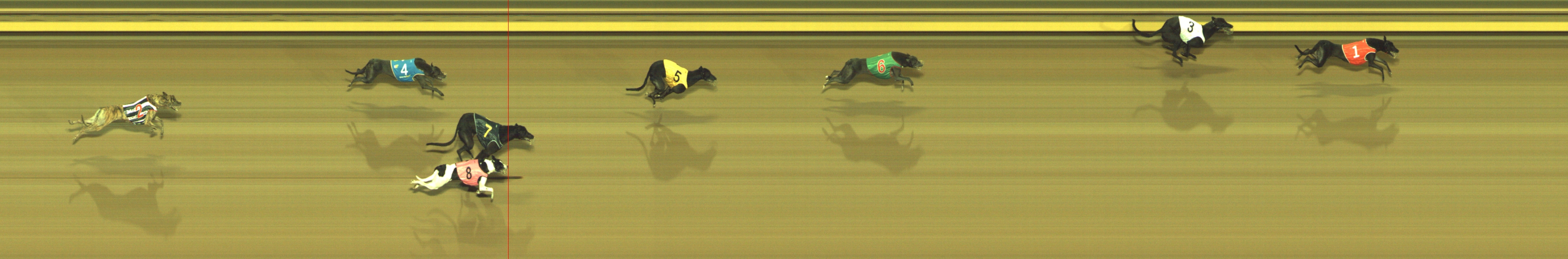 Photo finish for Geelong Race 3