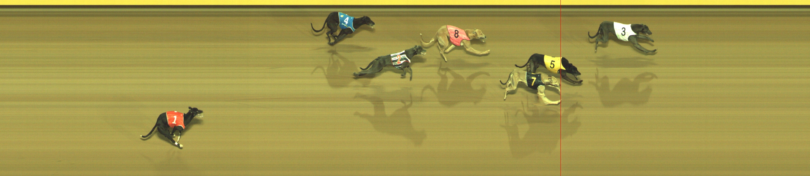 Photo finish for Geelong Race 4