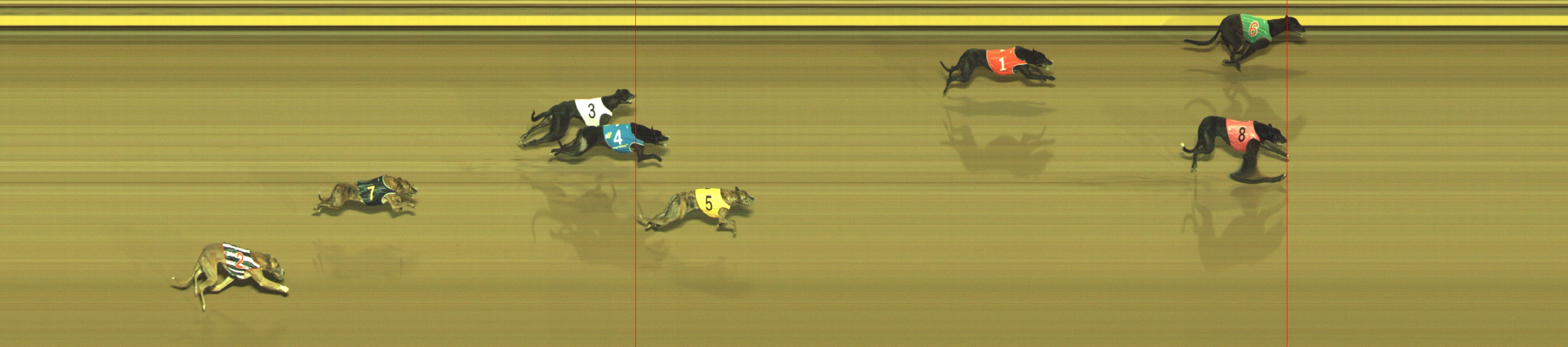 Photo finish for Geelong Race 5