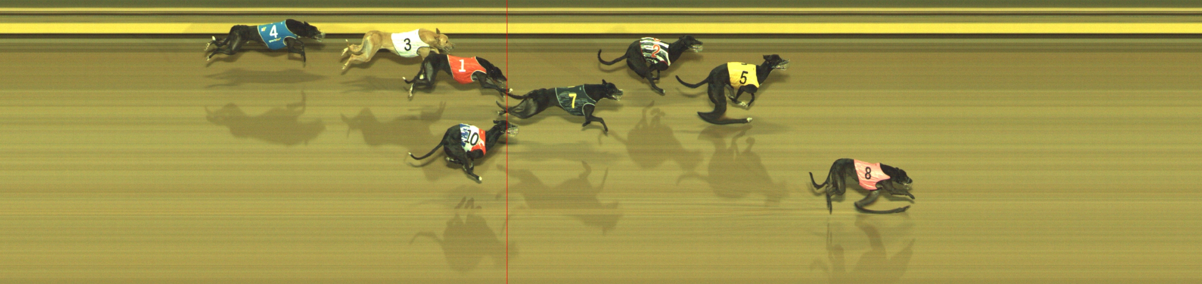 Photo finish for Geelong Race 6