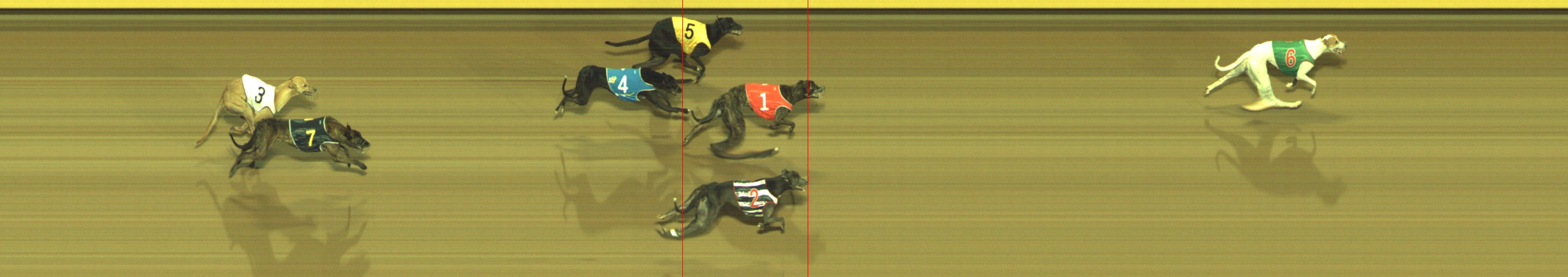 Photo finish for Geelong Race 7