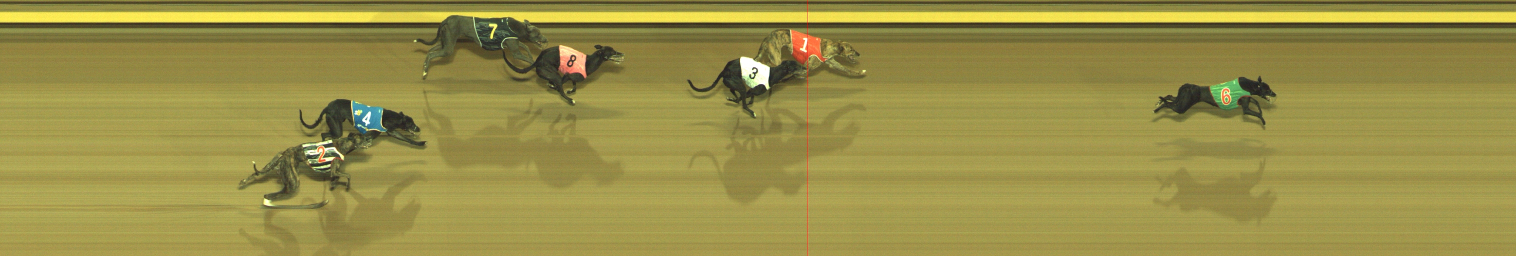 Photo finish for Geelong Race 8