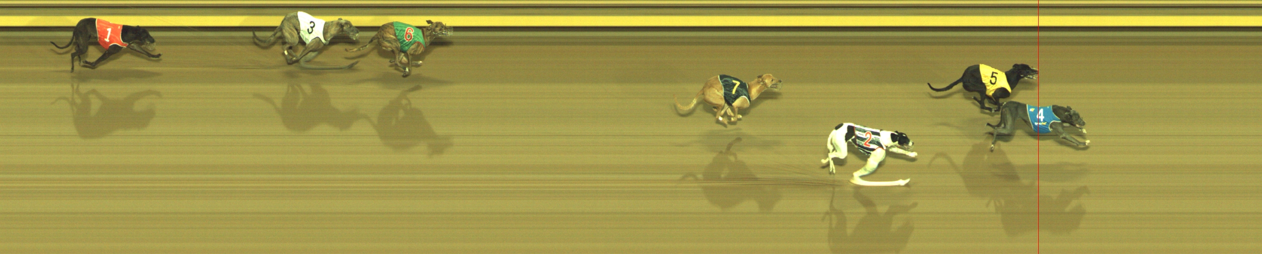 Photo finish for Geelong Race 9