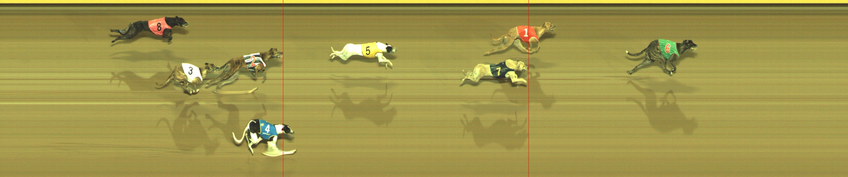 Photo finish for Geelong Race 10