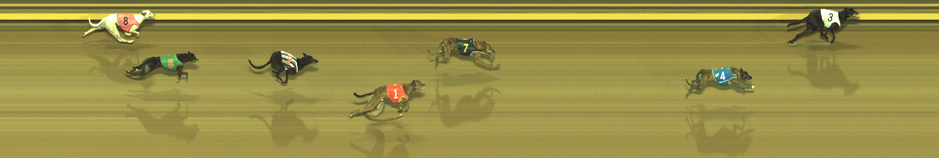 Photo finish for Geelong Race 12
