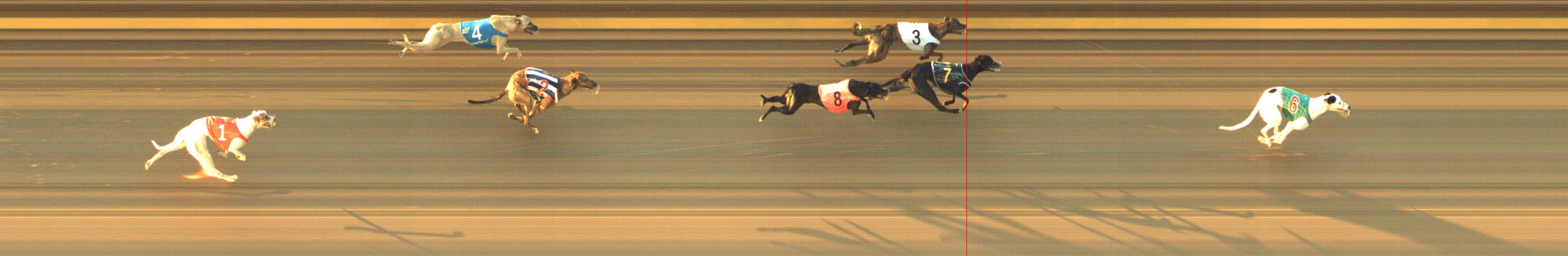 Photo finish for Geelong Race 1