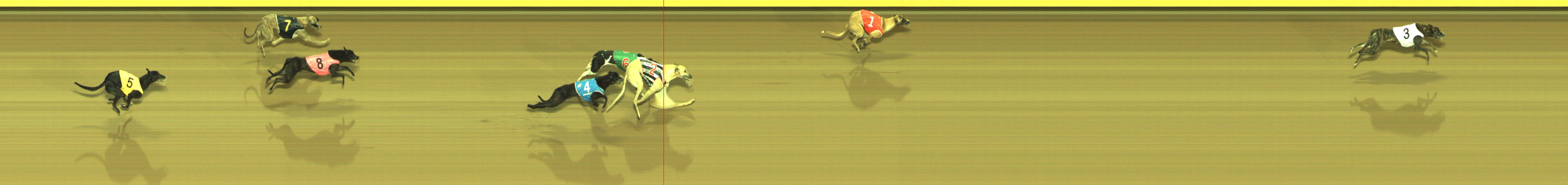 Photo finish for Geelong Race 2
