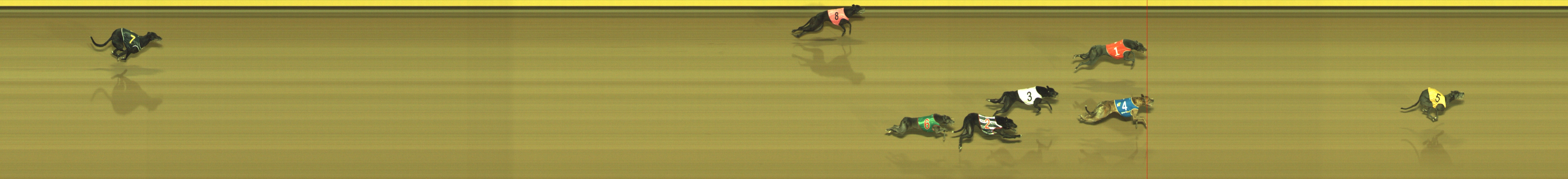 Photo finish for Geelong Race 3