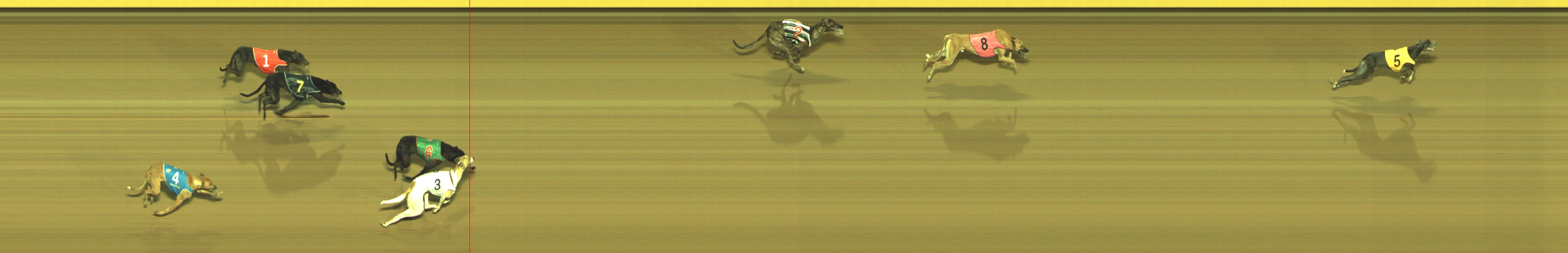 Photo finish for Geelong Race 4