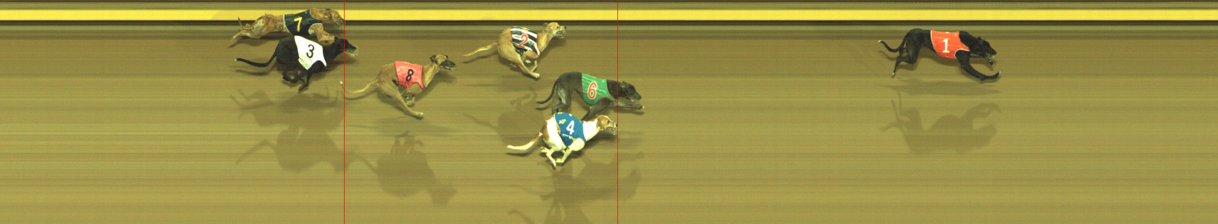 Photo finish for Geelong Race 5