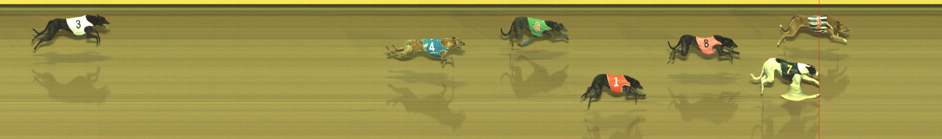 Photo finish for Geelong Race 6