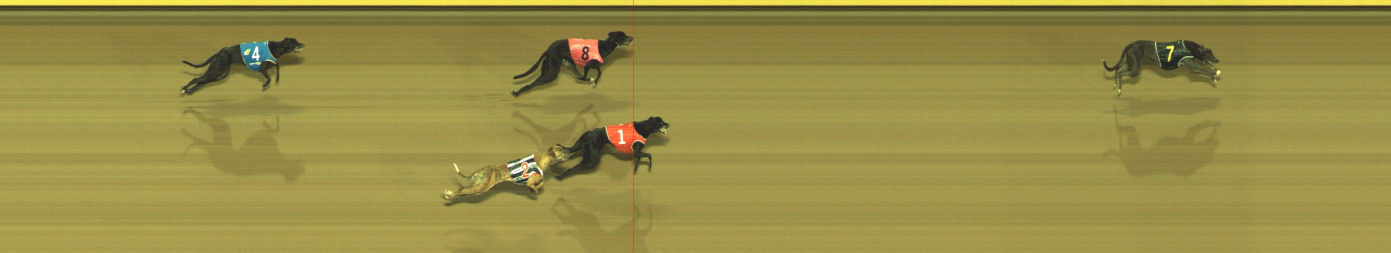 Photo finish for Geelong Race 7