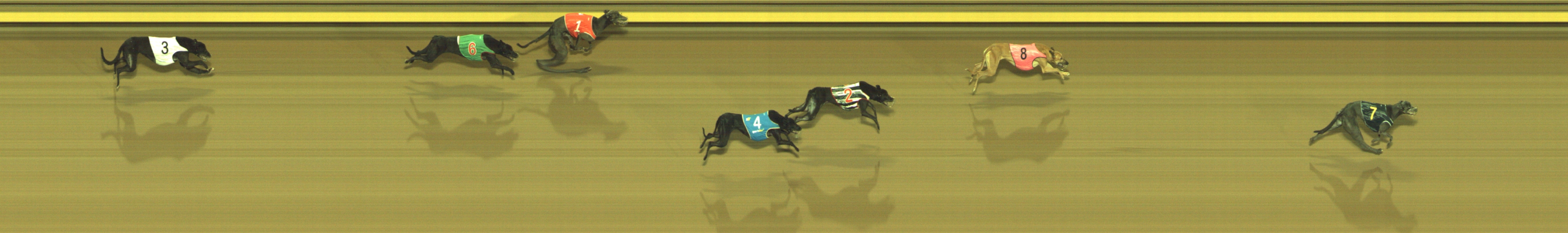 Photo finish for Geelong Race 8