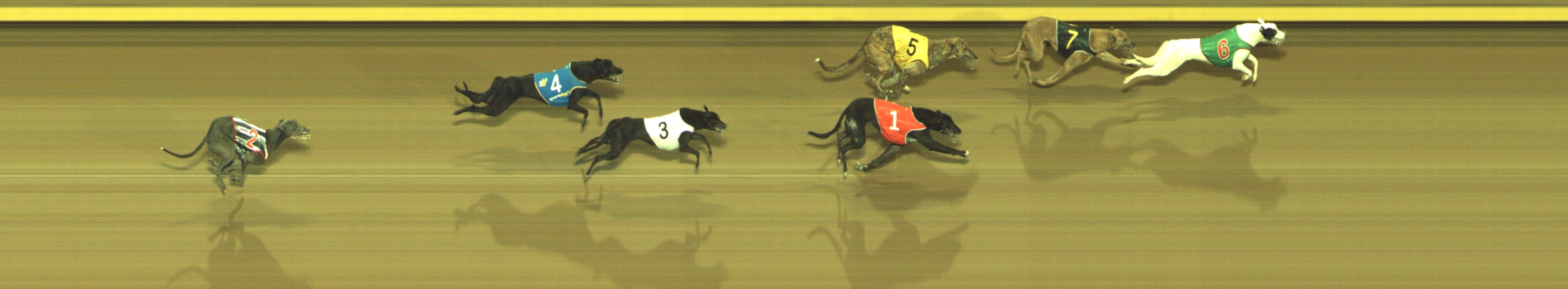 Photo finish for Geelong Race 9