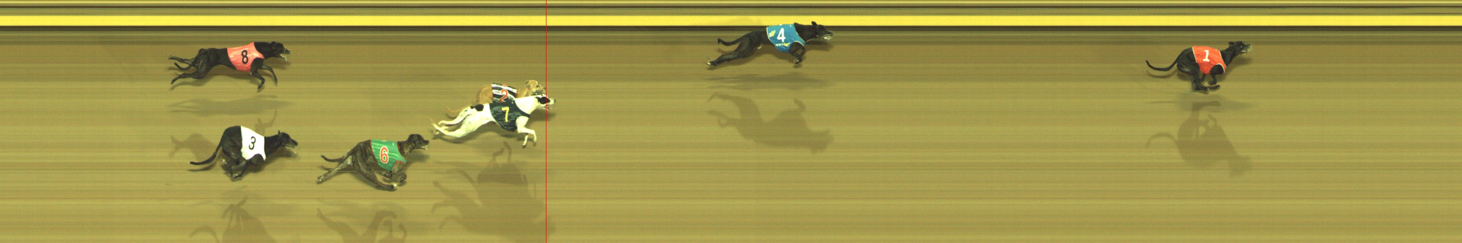Photo finish for Geelong Race 10
