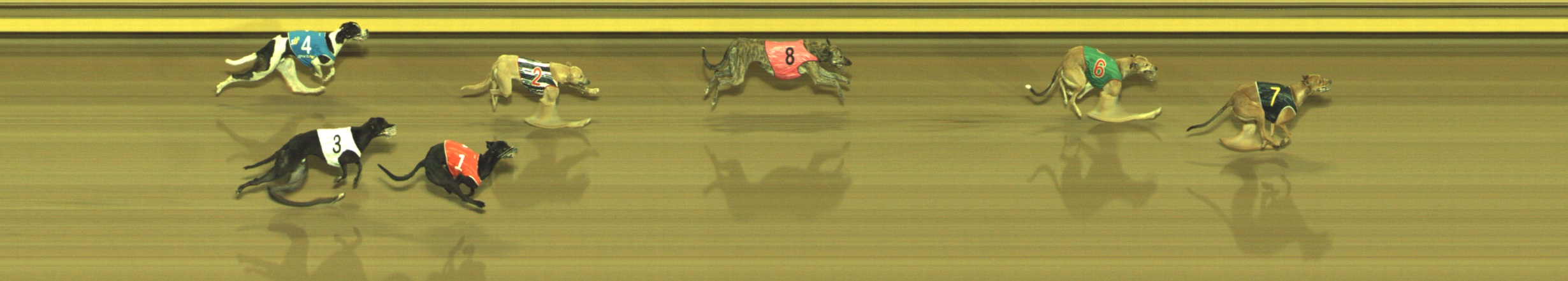 Photo finish for Geelong Race 11