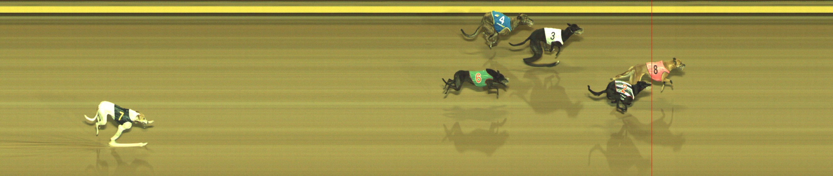 Photo finish for Geelong Race 12