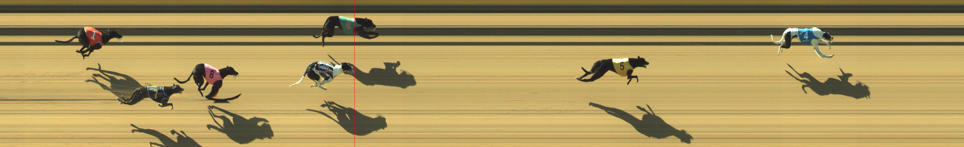 Photo finish for Geelong Race 1