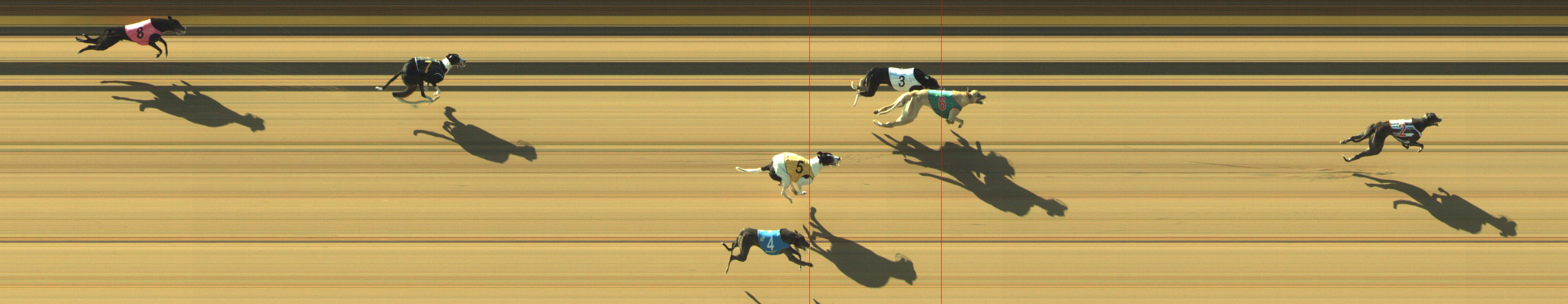 Photo finish for Geelong Race 2