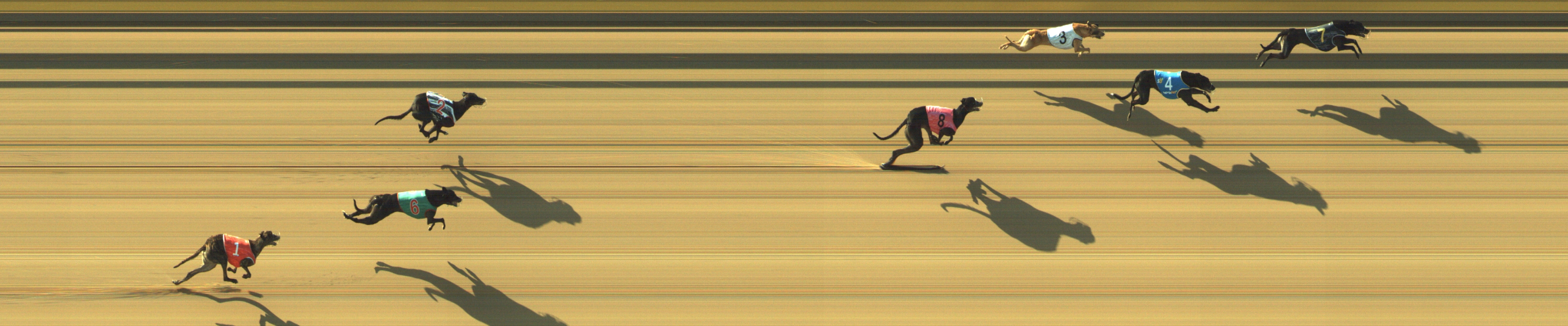 Photo finish for Geelong Race 3