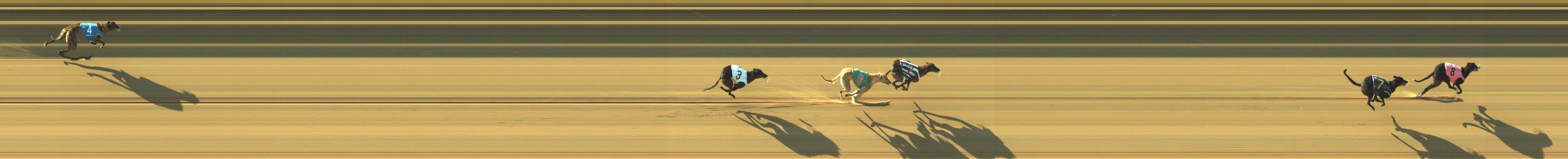 Photo finish for Geelong Race 4