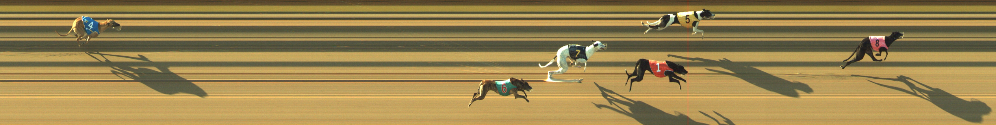 Photo finish for Geelong Race 5