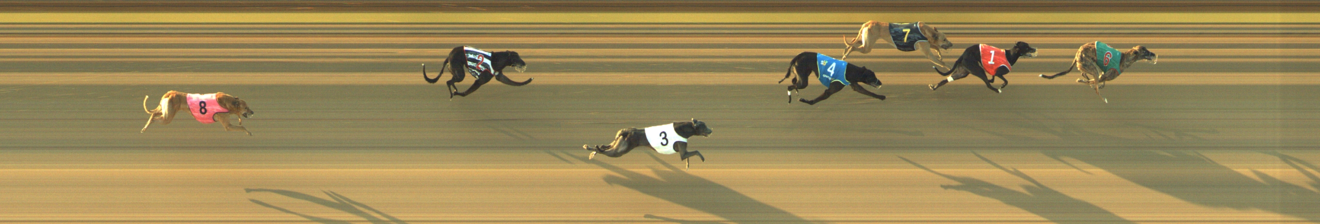Photo finish for Geelong Race 6