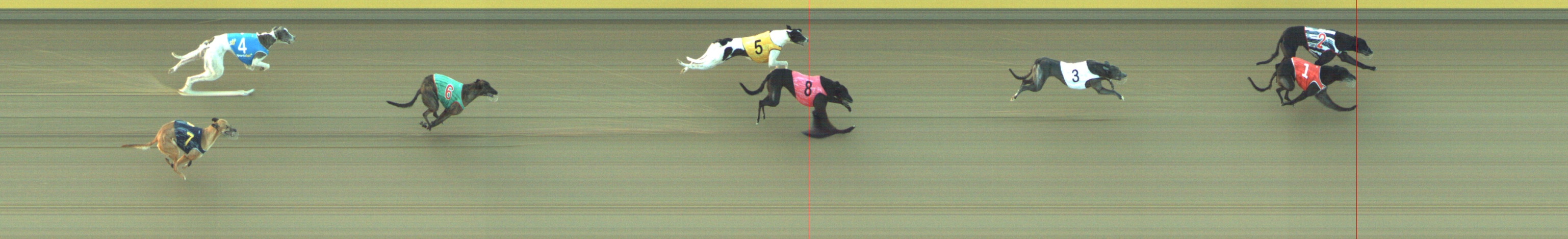Photo finish for Geelong Race 7