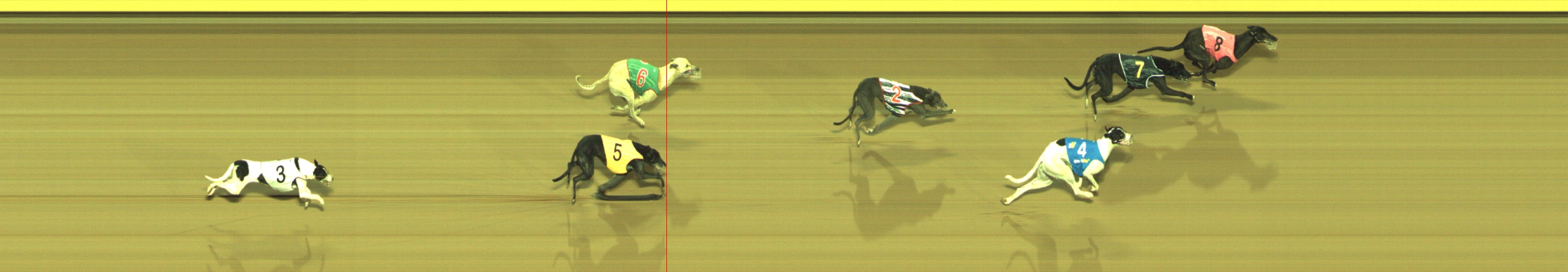 Photo finish for Geelong Race 8