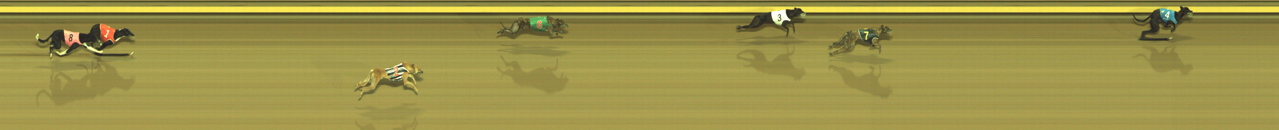 Photo finish for Geelong Race 9