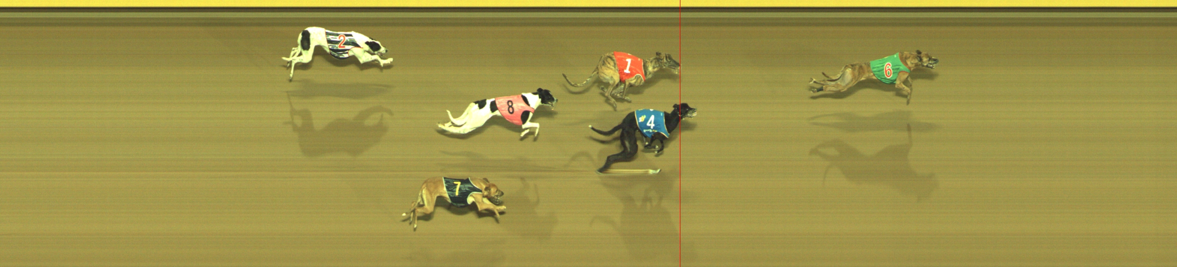 Photo finish for Geelong Race 10
