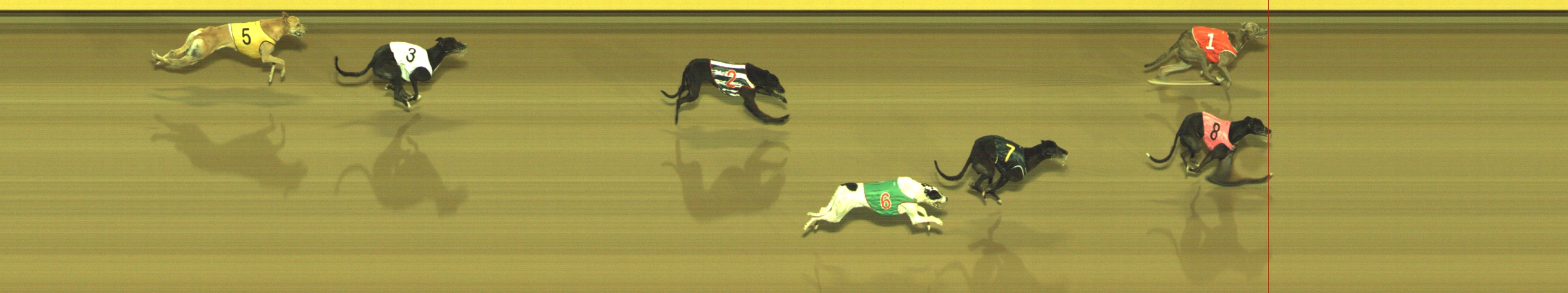 Photo finish for Geelong Race 11