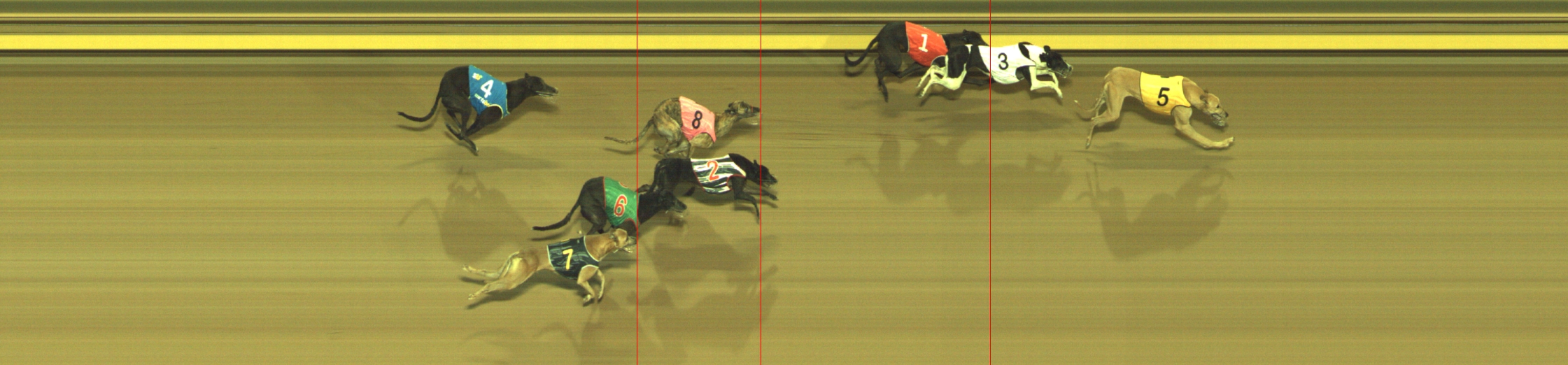 Photo finish for Geelong Race 12