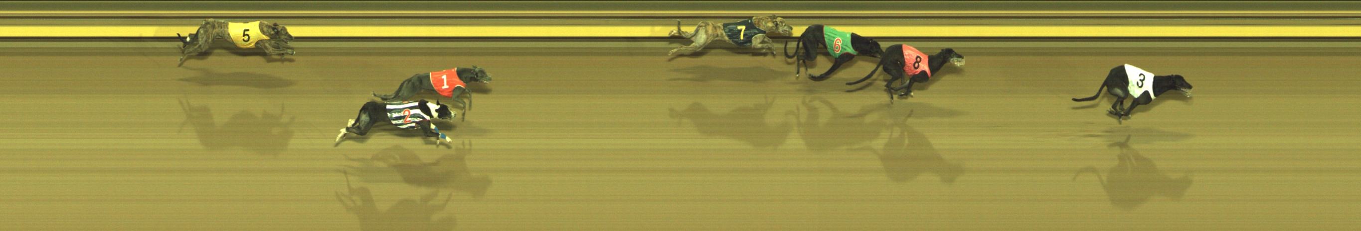 Photo finish for Geelong Race 13