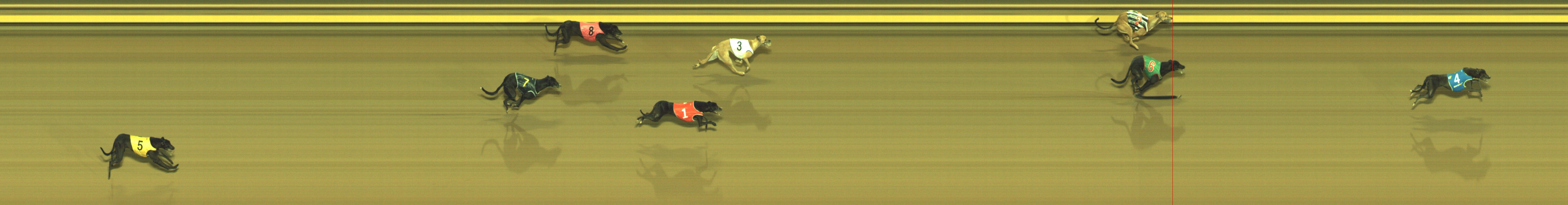 Photo finish for Geelong Race 1