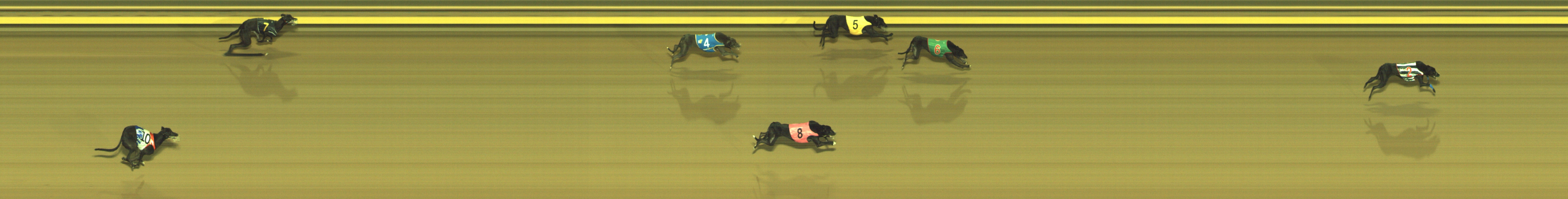 Photo finish for Geelong Race 2