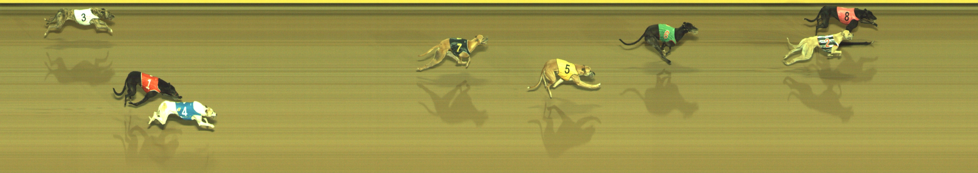 Photo finish for Geelong Race 3