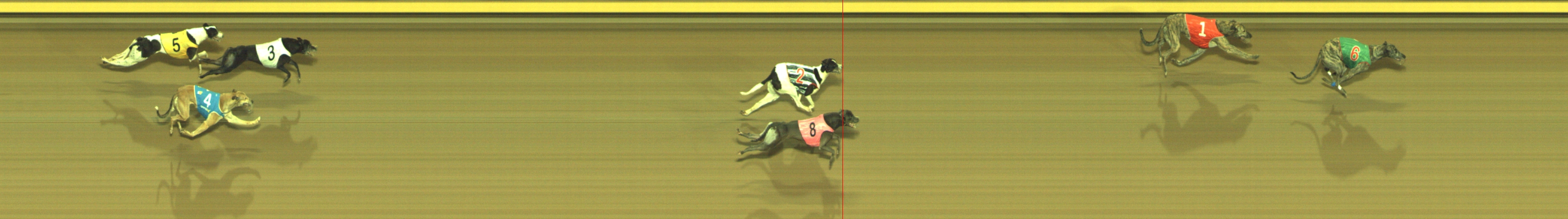 Photo finish for Geelong Race 4