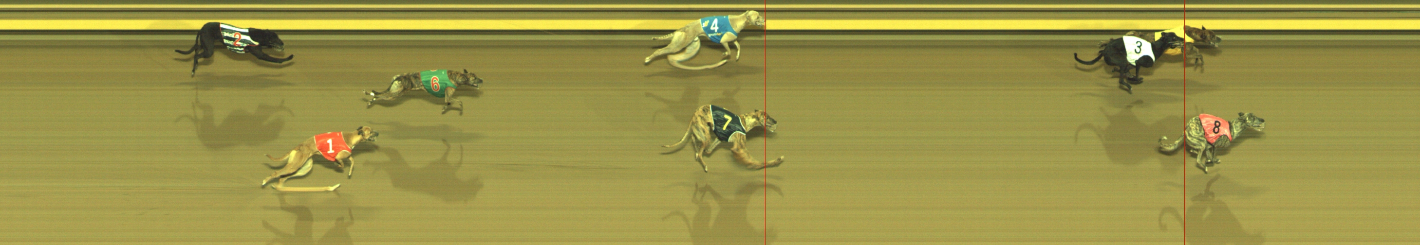 Photo finish for Geelong Race 5