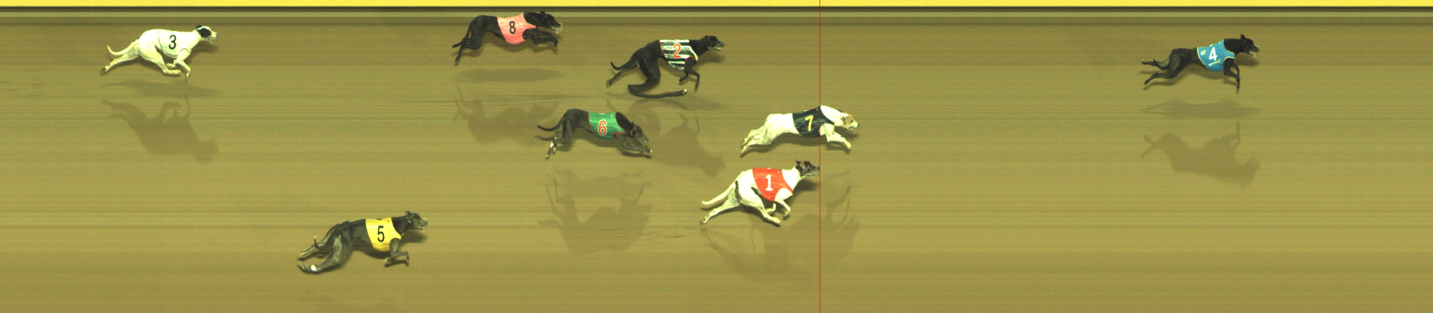 Photo finish for Geelong Race 6
