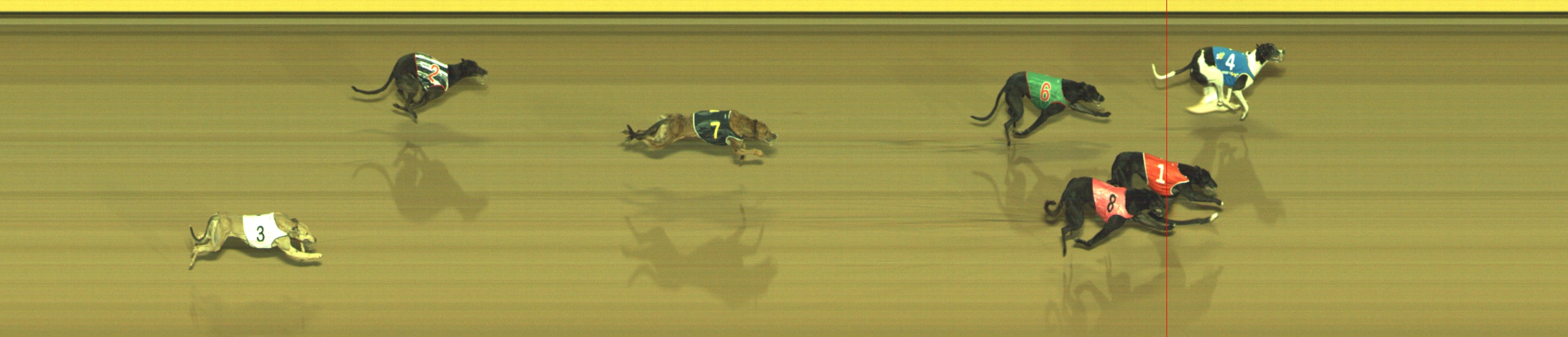 Photo finish for Geelong Race 7