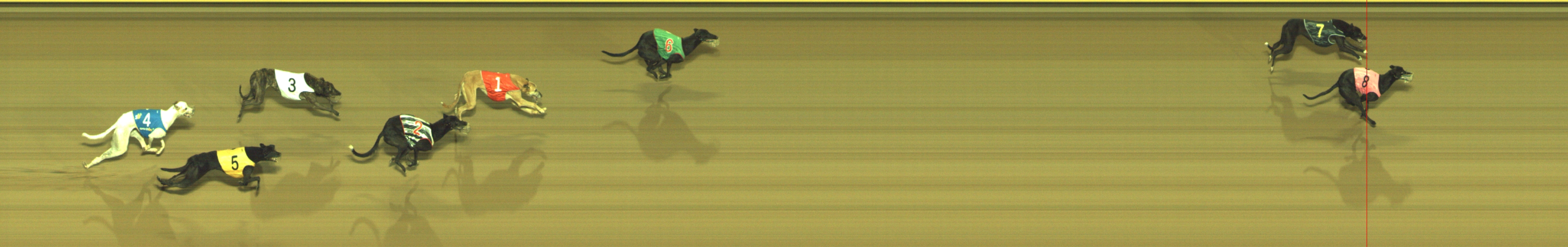 Photo finish for Geelong Race 8
