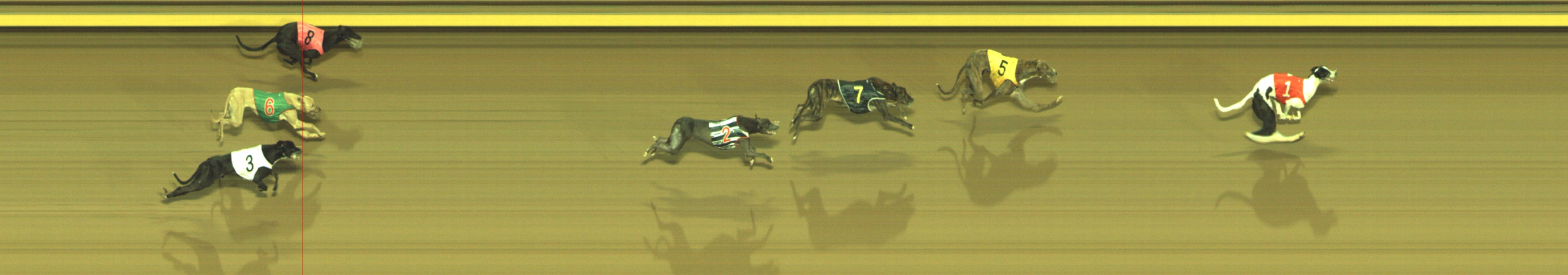 Photo finish for Geelong Race 9