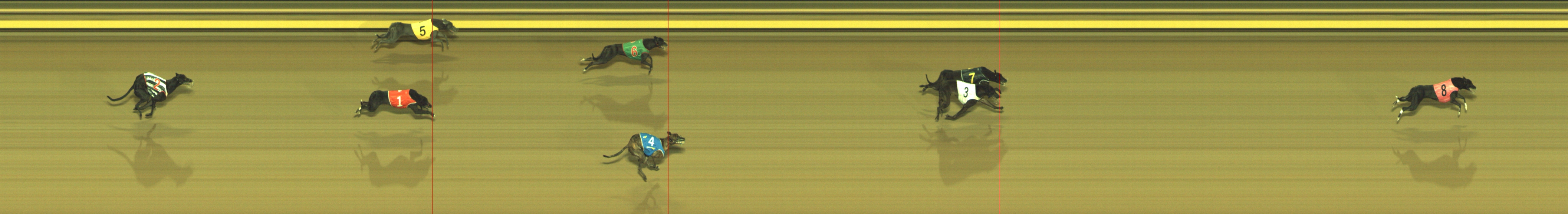 Photo finish for Geelong Race 11