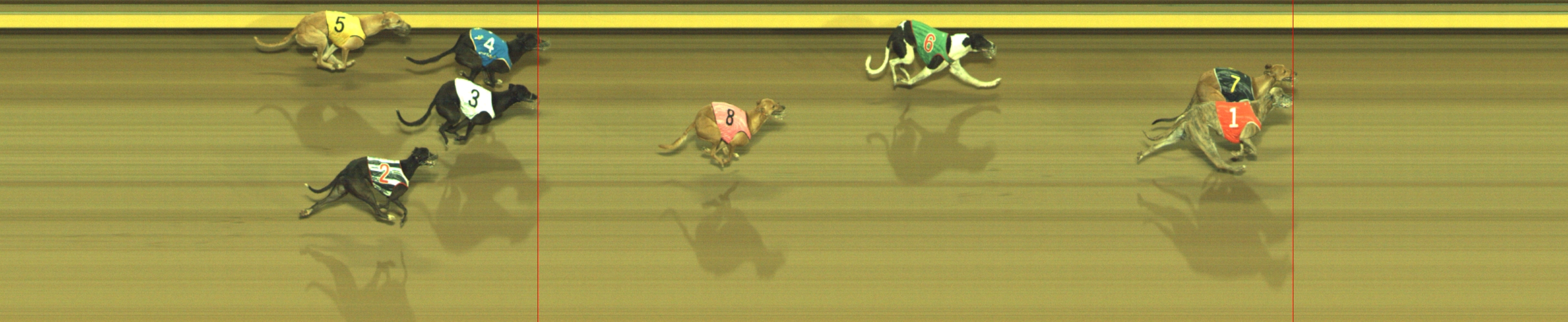 Photo finish for Geelong Race 12