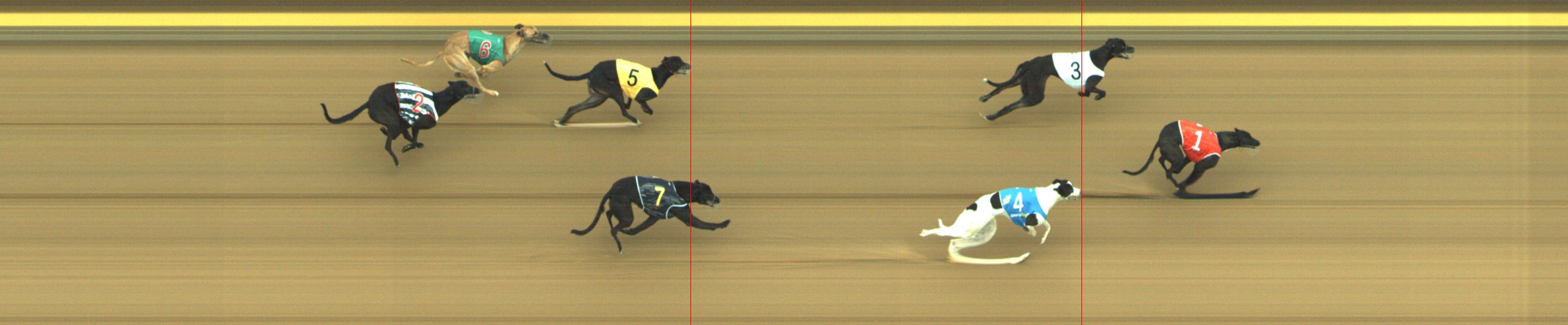 Photo finish for Geelong Race 1