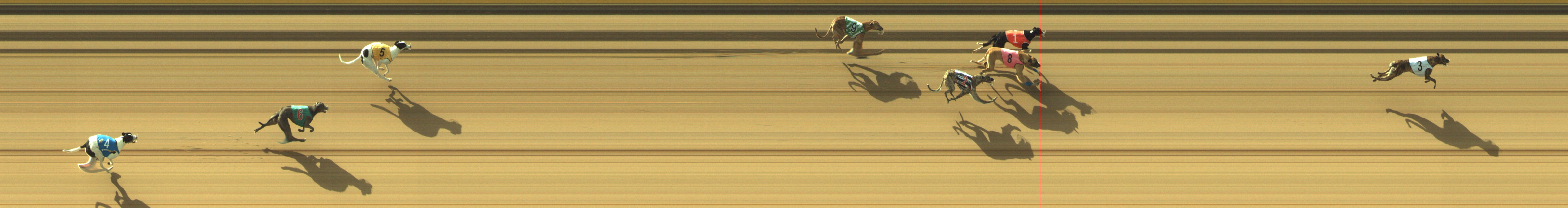 Photo finish for Geelong Race 2