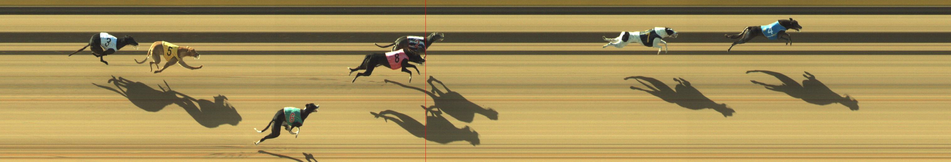 Photo finish for Geelong Race 3